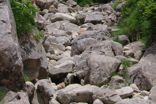 大きな石をうまく登る