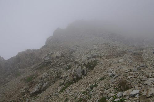 急斜面の岩屑のガレバ 