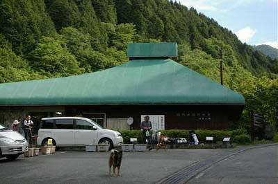 西丹沢自然保護教室