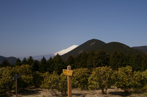 シダンゴ山山頂からの富士