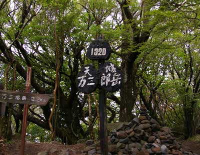 万二郎岳山頂標高１３２０m