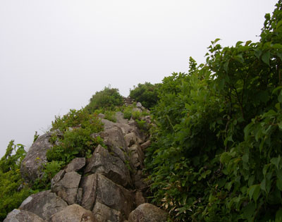 梯子と岩場