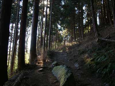 小仏登山道は昔から使われた道。
