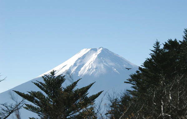 木無山からの富士