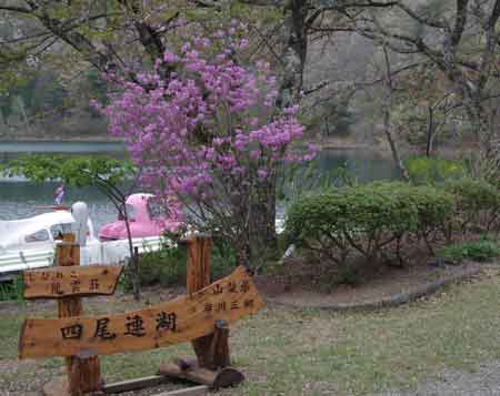県立四尾連湖自然公園